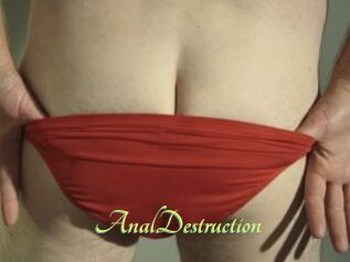 Anal_Destruction