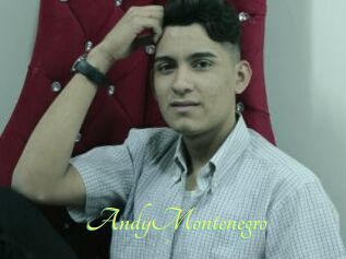 AndyMontenegro