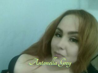 Antonella_Grey