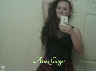 AriesGinger