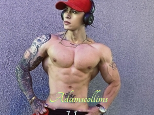 Adamscollims