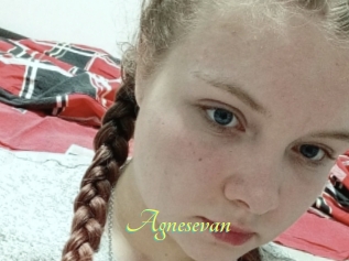 Agnesevan