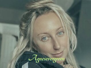 Agnesevergreen