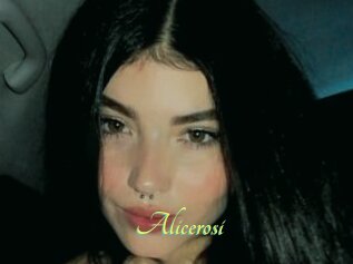 Alicerosi