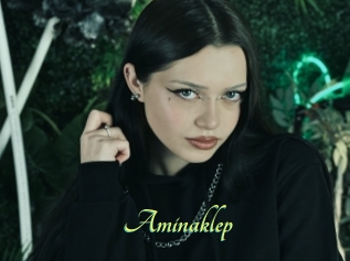 Aminaklep