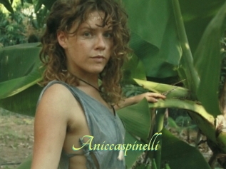 Aniccaspinelli