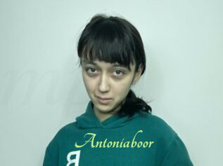 Antoniaboor