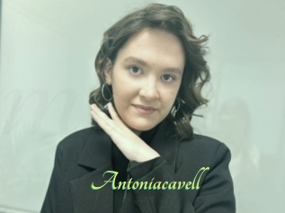 Antoniacavell