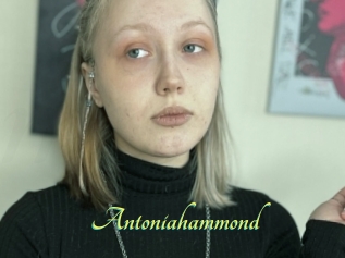 Antoniahammond