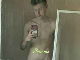 Bammo