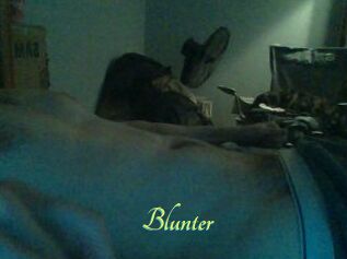 Blunter