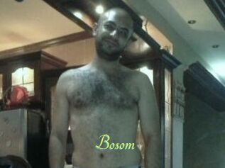 Bosom