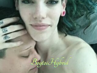 BoytoiHybrid