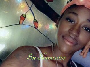 Bre_Shawn2020