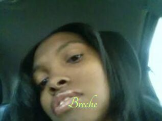 Breche