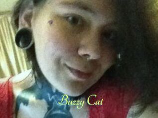 Buzzy_Cat