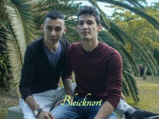 Bleicknort