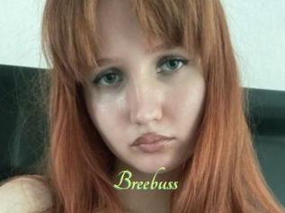 Breebuss