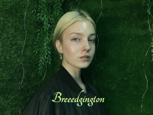 Breeedgington