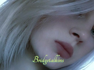 Bridgetalkins