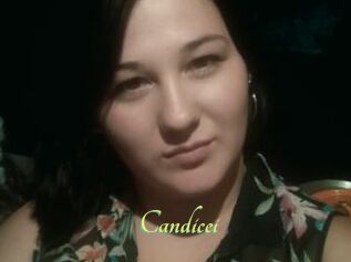 Candicei