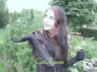 CatRaven