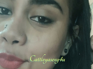 Cattleyasexy4u