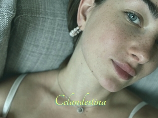 Cclandestina