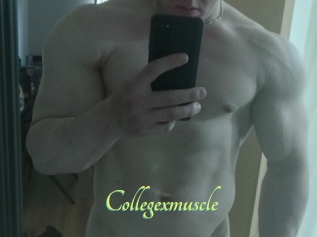 Collegexmuscle