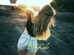 DaisyColle