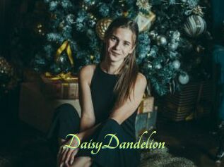 DaisyDandelion