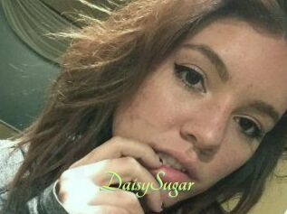 Daisy_Sugar