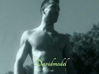 Davidmodel