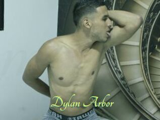 Dylan_Arbor