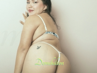 Demihilton