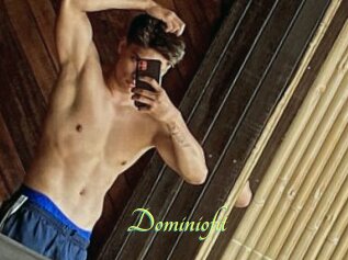 Dominiofit