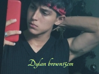 Dylan_brown15cm