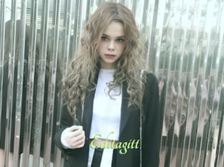 Editagitt