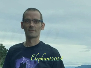 Elephant2024