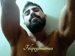 Felipegamarraa