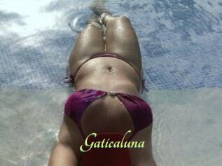 Gaticaluna