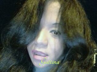 Gattina