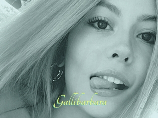 Gallibarbara