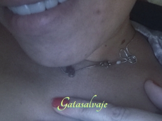 Gatasalvaje