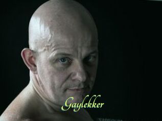 Gaylekker