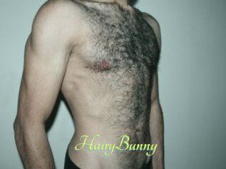 HairyBunny