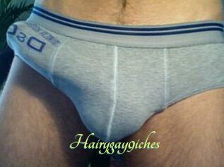 Hairygay9iches