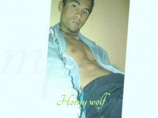 Horny_wolf