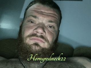 Hornyredneck22