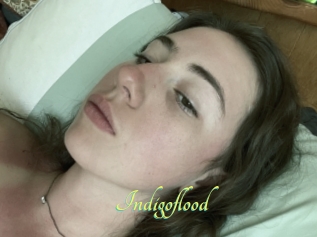 Indigoflood